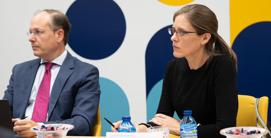 comité de expertos jurídico