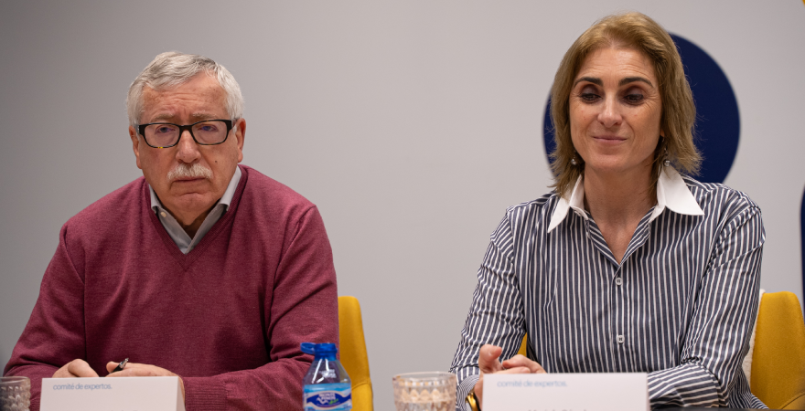 Comité de expertos trabajadores 12032024