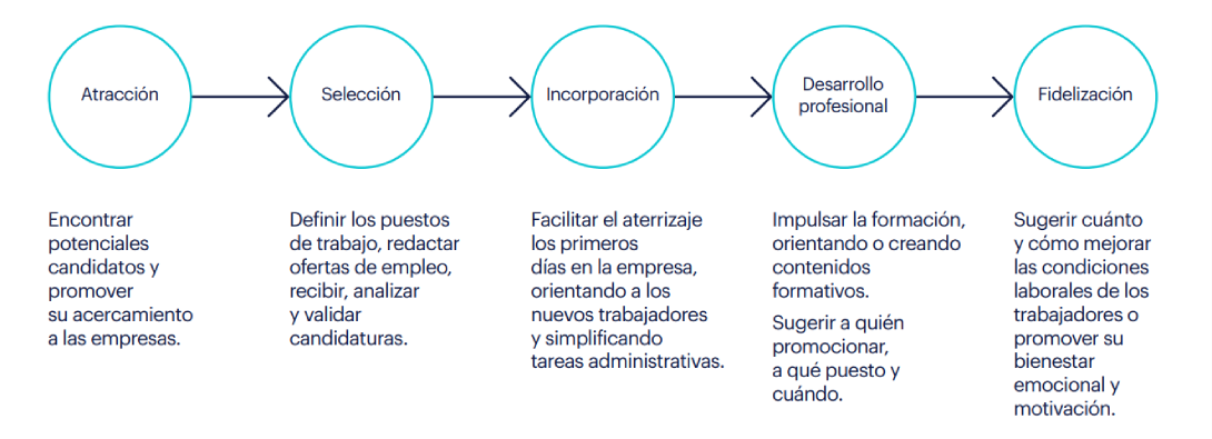 Gráfico explicativo de la IA aplicada al ciclo de vida del talento