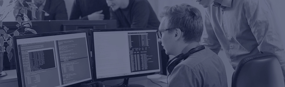 Mercado de trabajo en la ocupación de programador 2024